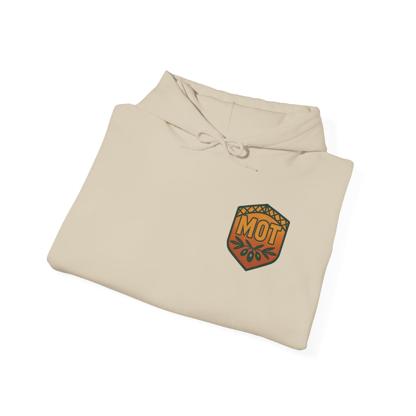 Iron Sharpens Iron Hooded Sweatshirt